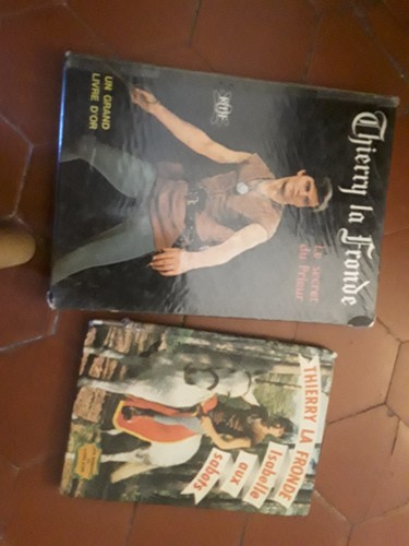Livres thierry fronde - 2,