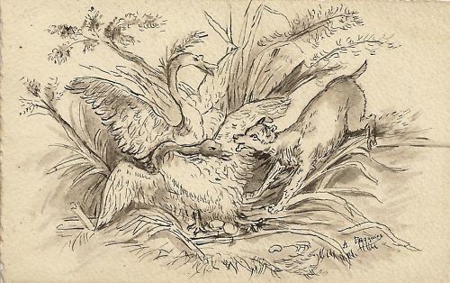 Illustrateur pasquier - illustrateur, a.pasquier