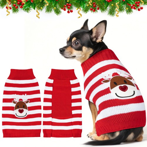Pull noël pour - noël, chien