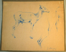 Jacques DEGUY (XIX-XX) DESSIN CRAYON CERVIDE BICHE CHEVREUIL ANIMAUX CHASSE 1900