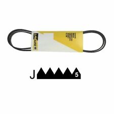 1225J5 Courroie Elastique Poly