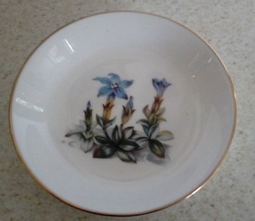 Royal worcester - royal,