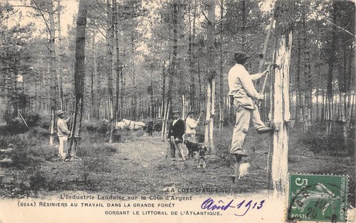 Cpa industrie landaise - 33, l'industrie