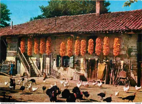 Carte postale ain - postale,