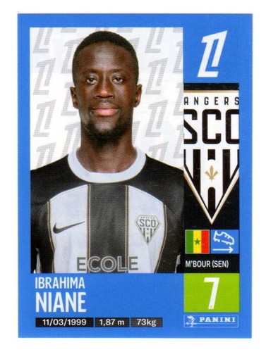 Sticker panini foot 2024 - foot, 2024-2025