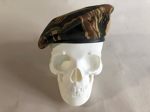 Green beret vietnam mac sog - vietnam,