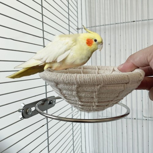 Oiseau coton confortable - en,
