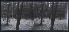 Femme Mode Forêt Artistique c1930 Photo NEGATIVE Plaque de verre Vintage VR16L8n