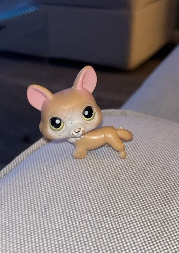 Littlest petshop lps corgi - petshop,