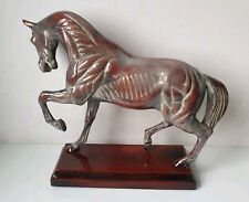 sculpture ecorche cheval resine Dlg isidore Bonheur