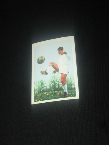 Gianquinto losc lille image - lille,