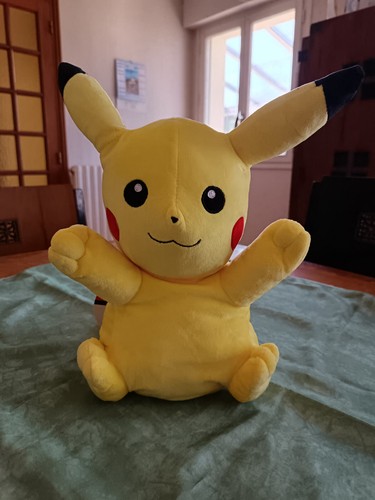Sac dos pokémon en - sac,
