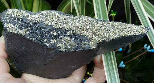 Pyrite doré ardoise - pyrite, s/