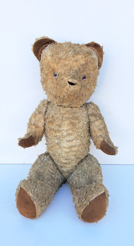 Ancien grand ours - grand,