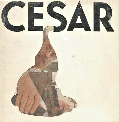 César musée cantini - musée,