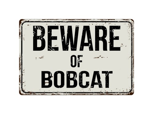 166vs beware bobcat - bobcat, "x