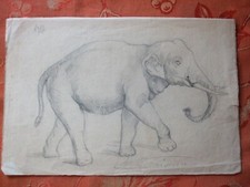 4 dessins animaux support divers toutes dimensions voir photos tigre éléphant