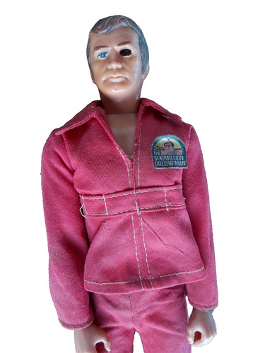 Steve austin figurine the six - austin,