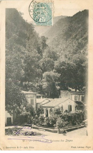 Algerie chiffa ruisseau - la,
