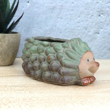  Decorative Flower Pot Ceramic