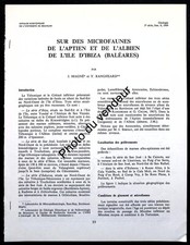 Paléontologie (Baléares)