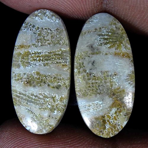 Paire ovale cabochon 100 - , %