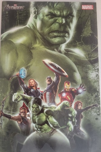 Hulk variant panini 2012 - 1,