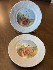 3 Lierre Sauvage Collector