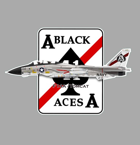 Grumman tomcat f14 - f14, black