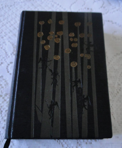 Livre les arcanes diable - arcanes, du