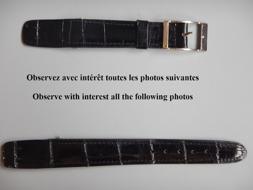 Crocodile véritable - mm,