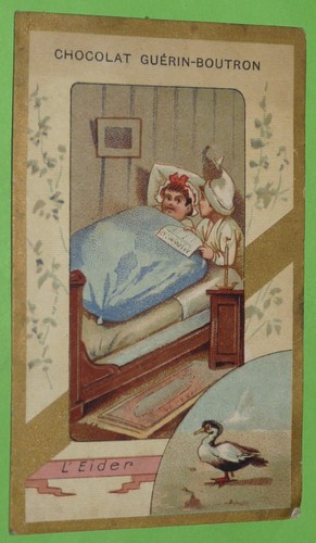 Chromo 1890 1899 chocolat - 1890-1899,