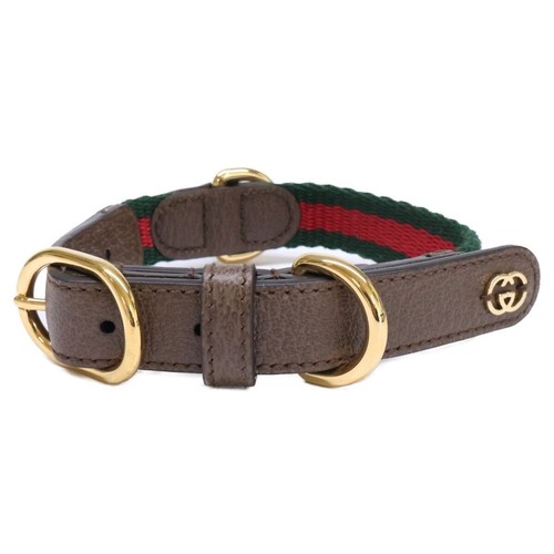 Collier pour chien gucci - collier,