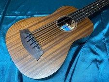KALA U•BASS-SMHG-FL fretless ukulélé bass