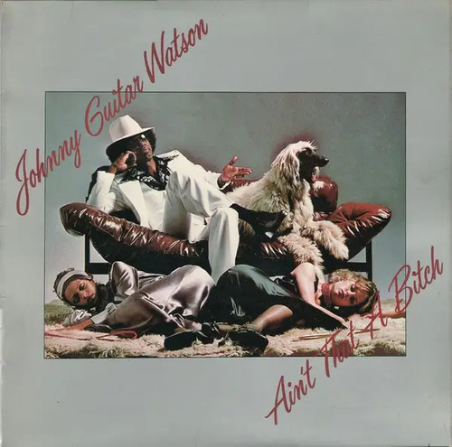 Johnny guitar watson - johnny,