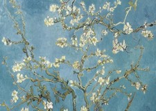 Affiche Van Gogh fleur