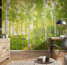 Papier Peint Pour Chambre Forêt D'Été Fresque Murale 368x248cm Premium Non-Tissé