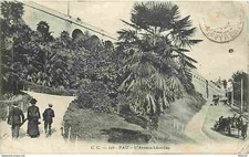 Carte Postale Ancienne - 64 -