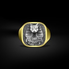 Bague chevalière homme