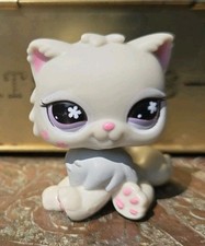 Littlest petshop chat persan - littlest,