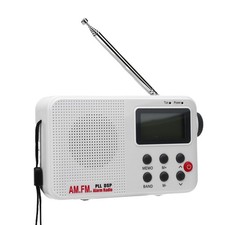 Portable AM FM SW Radio Dual