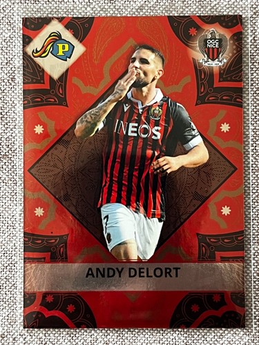 Panini football cards - fc,