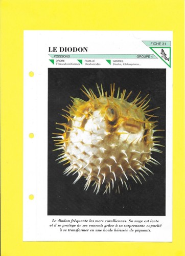Fiche le diodon - fiche,