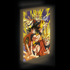 DRAGON BALL Z - Goku Evolution