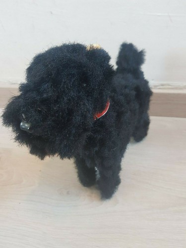 Très ancien chien - en, carton