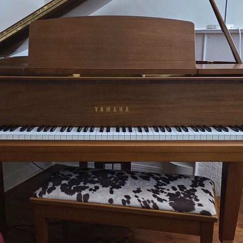 Yamaha walnut finish grand - yamaha,