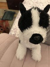 Webkinz boston terrier - boston,