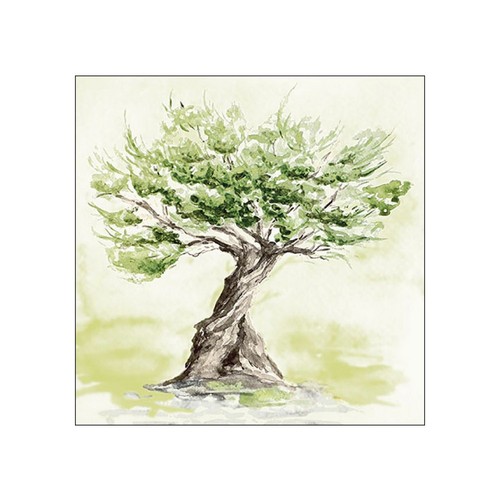 Serviettes papier olivier - serviettes,