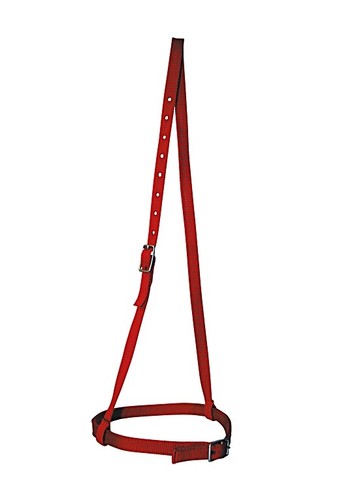 Chiudibocca capezzino western - chiudibocca,