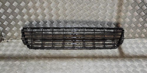 Grille pare choc - grille, bouclier